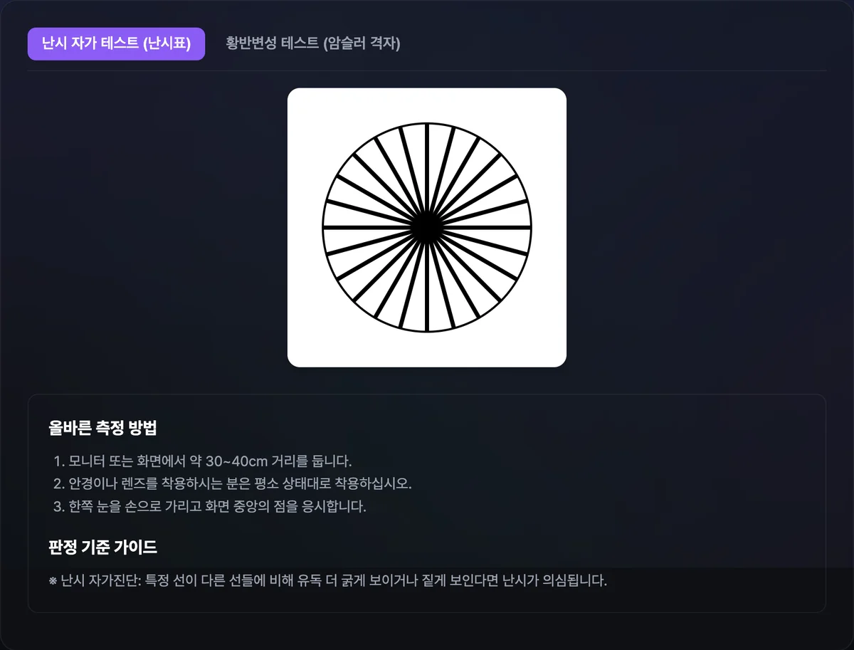 난시 자가 테스트 화면에 표시된 방사형 선 차트