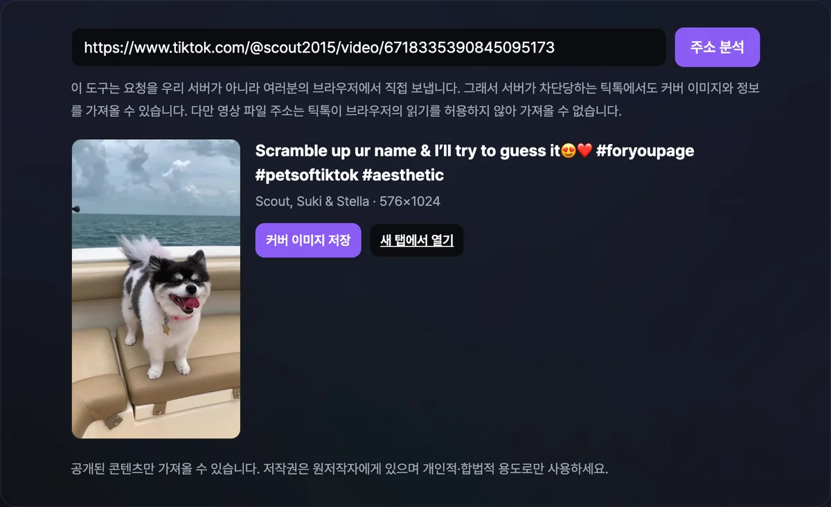 틱톡 영상 주소로 커버 이미지와 제목·작성자 정보를 브라우저에서 직접 가져온 화면
